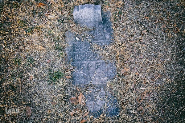 گرد فراموشی بر سنگ مزار‌های تخت فولاد