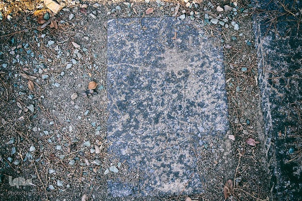 گرد فراموشی بر سنگ مزار‌های تخت فولاد