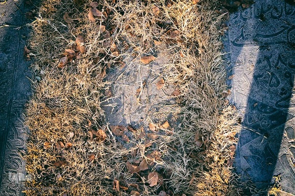 گرد فراموشی بر سنگ مزار‌های تخت فولاد