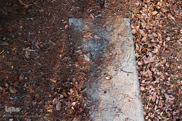 گرد فراموشی بر سنگ مزار‌های تخت فولاد