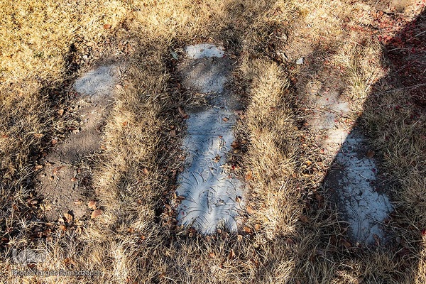 گرد فراموشی بر سنگ مزار‌های تخت فولاد