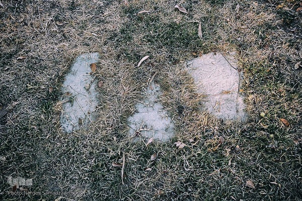 گرد فراموشی بر سنگ مزار‌های تخت فولاد