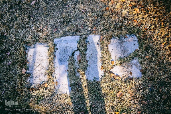 گرد فراموشی بر سنگ مزار‌های تخت فولاد