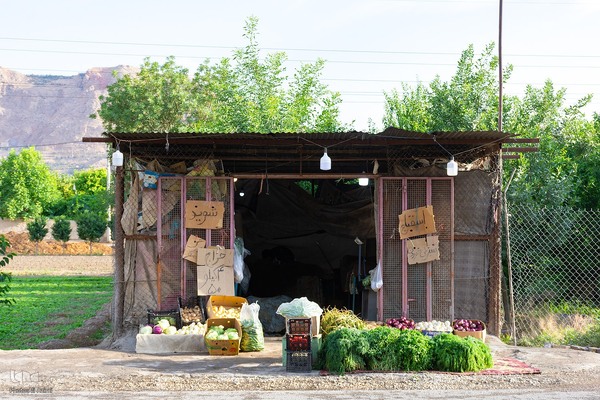 نبض زندگی در دل ناژوان