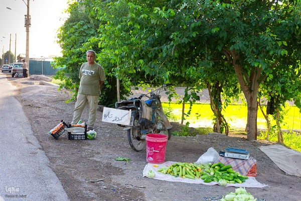 نبض زندگی در دل ناژوان