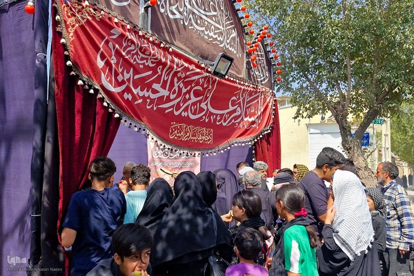 پیادروی جاماندگان اربعین حسینی در نایین