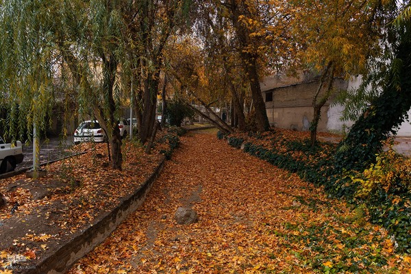 نغمه باران در اصفهان