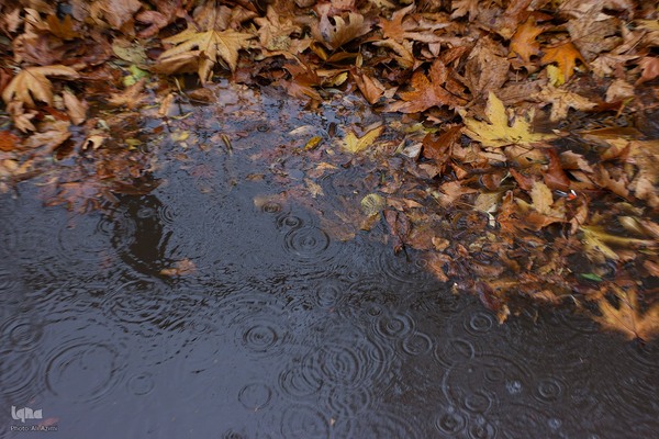 نغمه باران در اصفهان