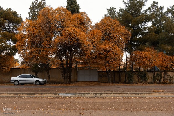 نغمه باران در اصفهان