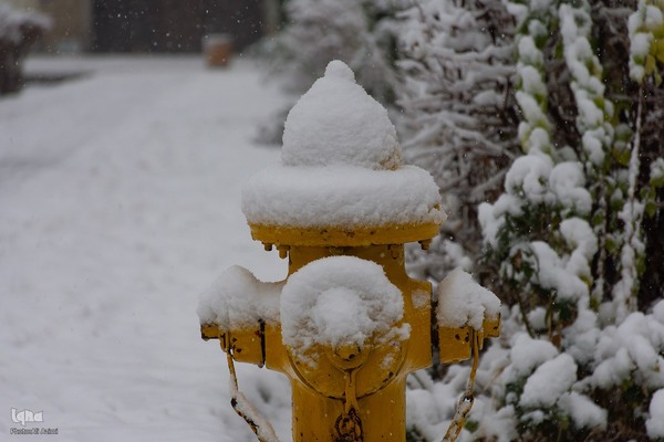 اصفهان در آغوش برف