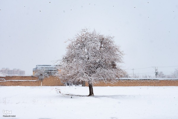 اصفهان در آغوش برف