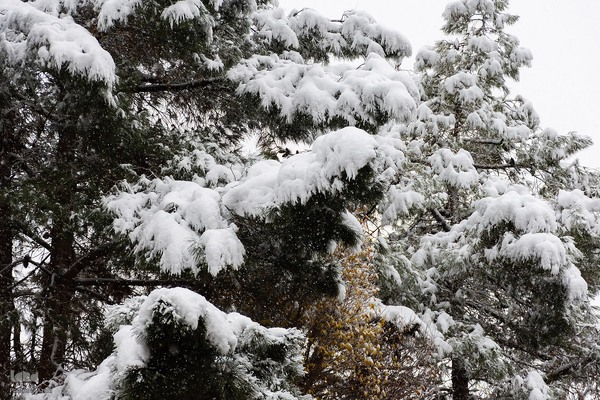 اصفهان در آغوش برف