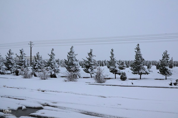 اصفهان در آغوش برف