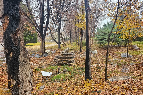 آخرین روز‌های پاییز در دانشگاه اصفهان