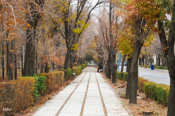 آخرین روز‌های پاییز در دانشگاه اصفهان