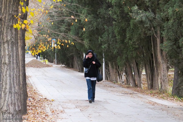 آخرین روز‌های پاییز در دانشگاه اصفهان