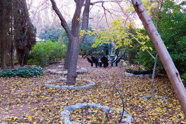 آخرین روز‌های پاییز در دانشگاه اصفهان