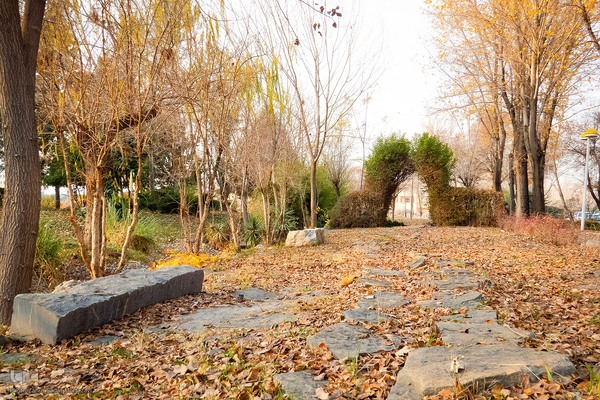 آخرین روز‌های پاییز در دانشگاه اصفهان