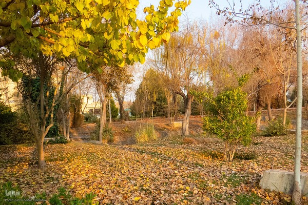 آخرین روز‌های پاییز در دانشگاه اصفهان