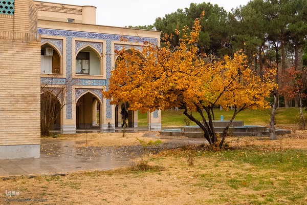 آخرین روز‌های پاییز در دانشگاه اصفهان