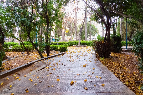 آخرین روز‌های پاییز در دانشگاه اصفهان