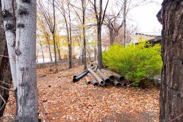 آخرین روز‌های پاییز در دانشگاه اصفهان