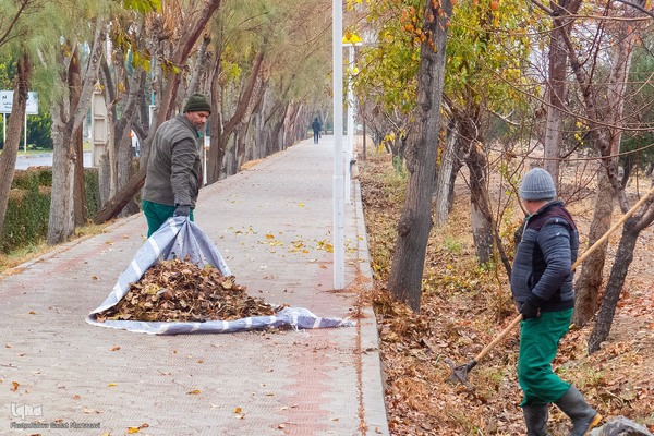 آخرین روز‌های پاییز در دانشگاه اصفهان