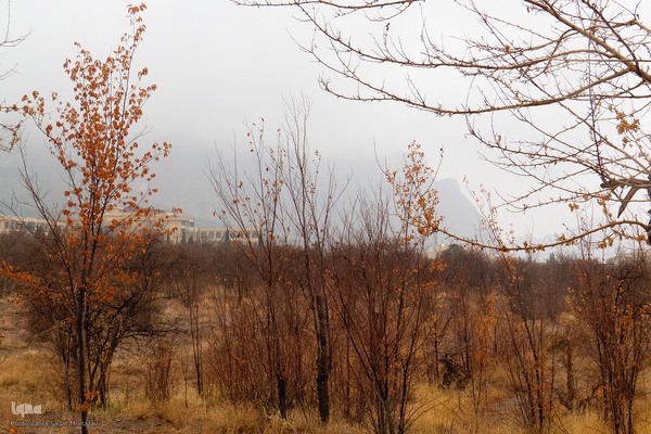 آخرین روز‌های پاییز در دانشگاه اصفهان