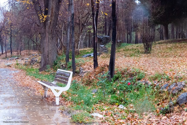 آخرین روز‌های پاییز در دانشگاه اصفهان