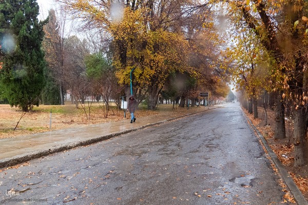 آخرین روز‌های پاییز در دانشگاه اصفهان
