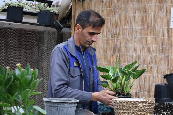 حال و‌ هوای یلدایی اصفهان