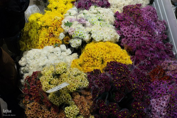 افتتاح بزرگترین بازار گل و گیاه کشور در اصفهان