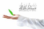 Signification et importance du Tawakkul