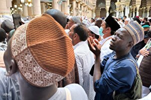L'ambiance de la Mosquée du Prophète (PSL) pendant la période du Hajj