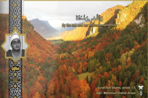Surah Ash-Shams by Mahmoud Shahat Anwar