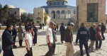 1.782 israeliani hanno invaso il complesso di al-Aqsa a marzo