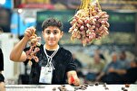 Mais de 3.000 Moukebs Servirão Peregrinos Durante o Arbaeen, Diz Irã