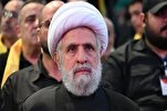 Шейх Наим Касем: Мы не откажемся ни от крупицы южной земли