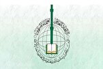 世界穆斯林学者联盟：伊斯兰世界应统一应对以色列对叙利亚的侵略